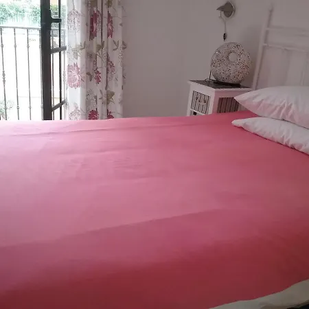 Casa De Las Floras *